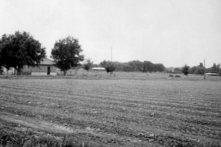 1940sLate_BumgarnerPlaceFields