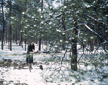 1950s_GrGladysSnowyForest