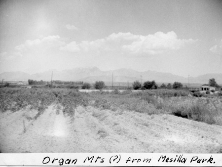 1940s_OrganMtnsFromMesillaPark